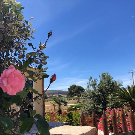 קוסטונאצ'י La Villa Dei Girasoli מראה חיצוני תמונה