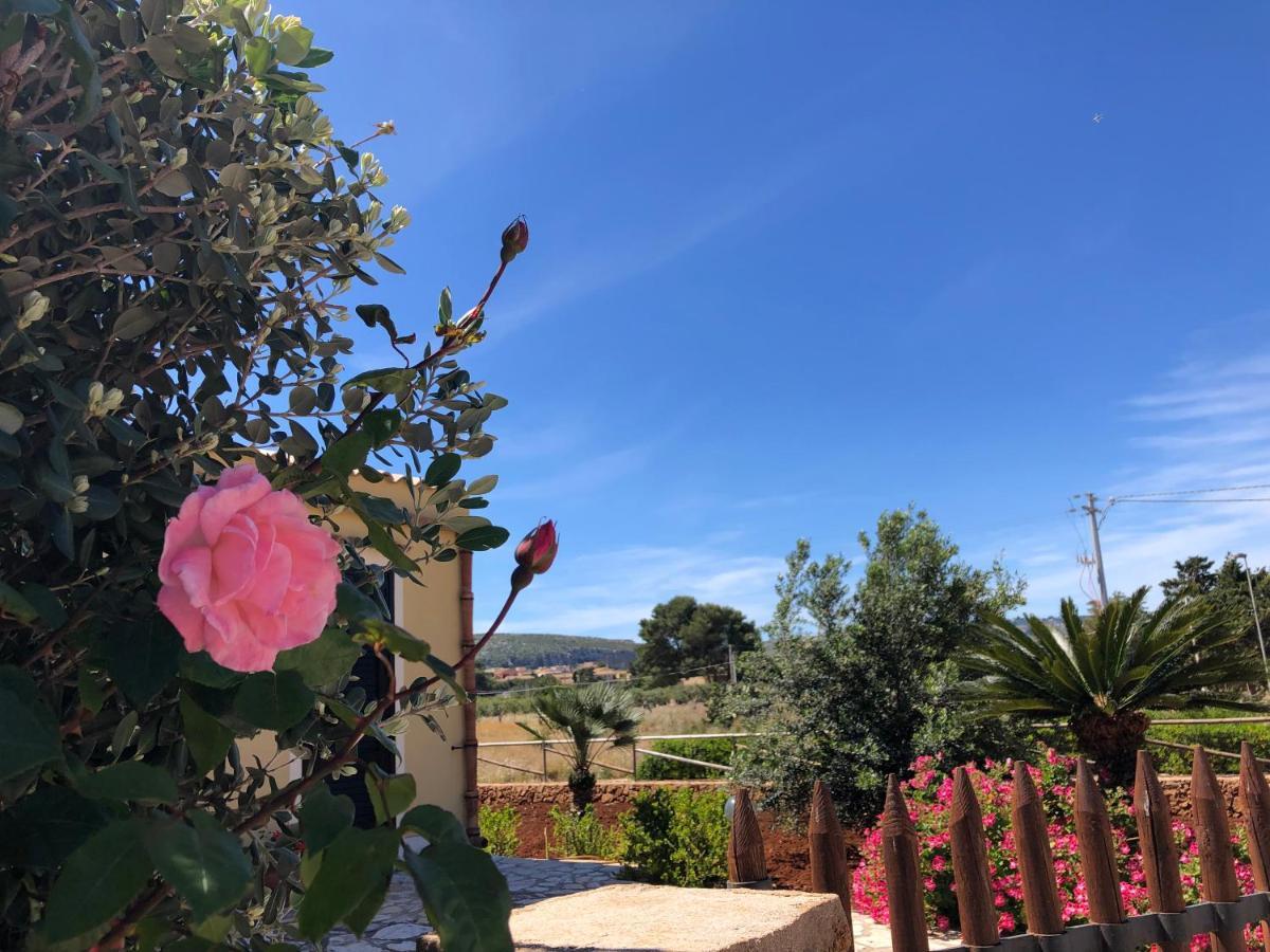 קוסטונאצ'י La Villa Dei Girasoli מראה חיצוני תמונה